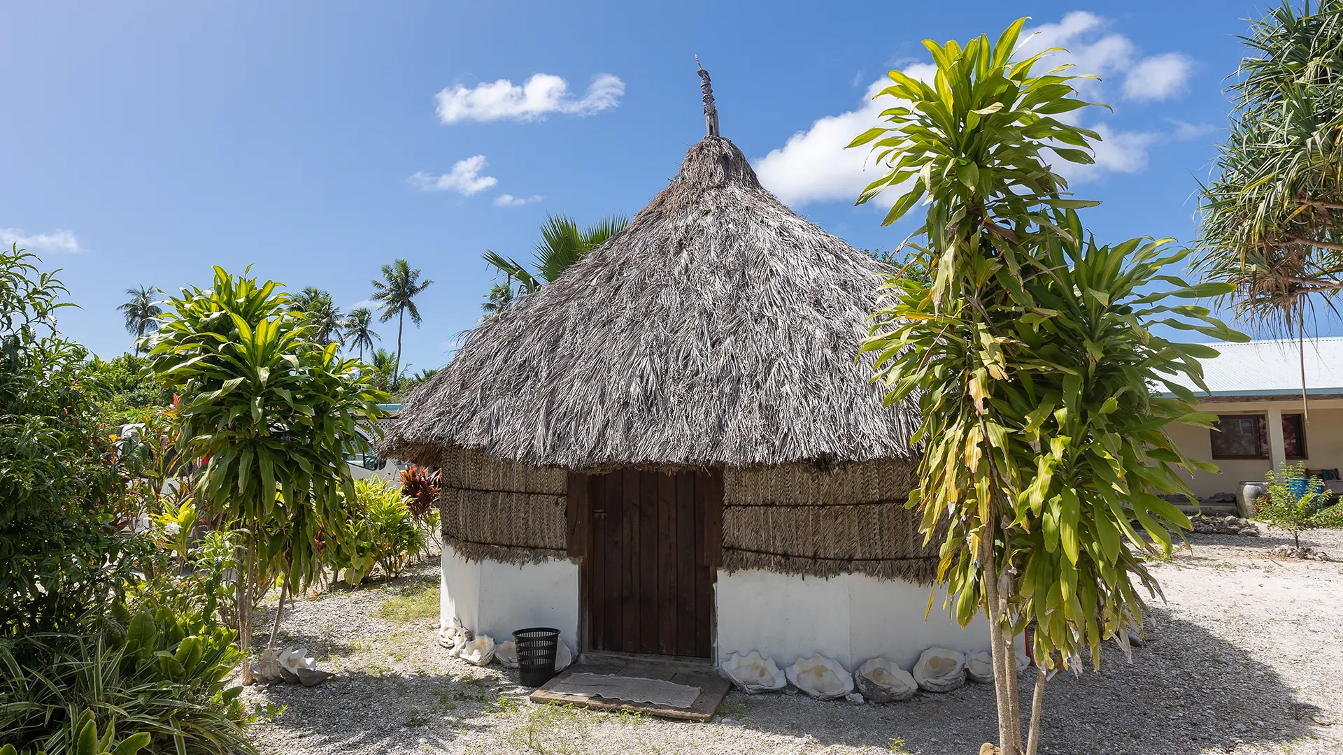 Thatched hut