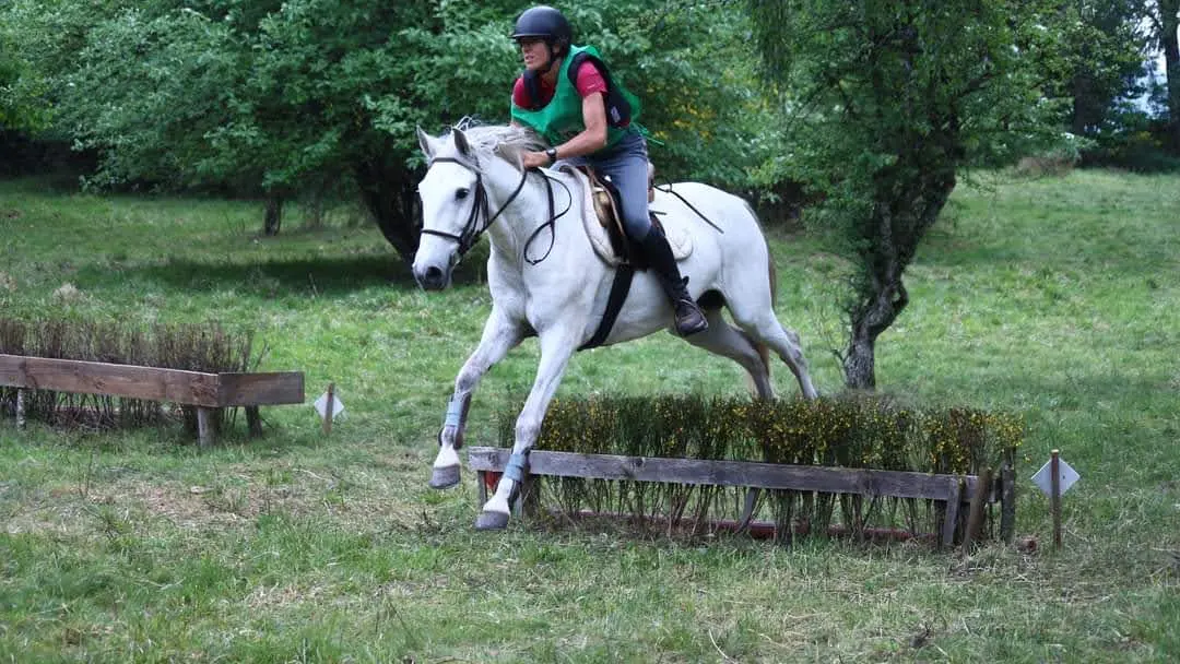 Enseignement des Techniques de Compétition de Tourisme Equestre