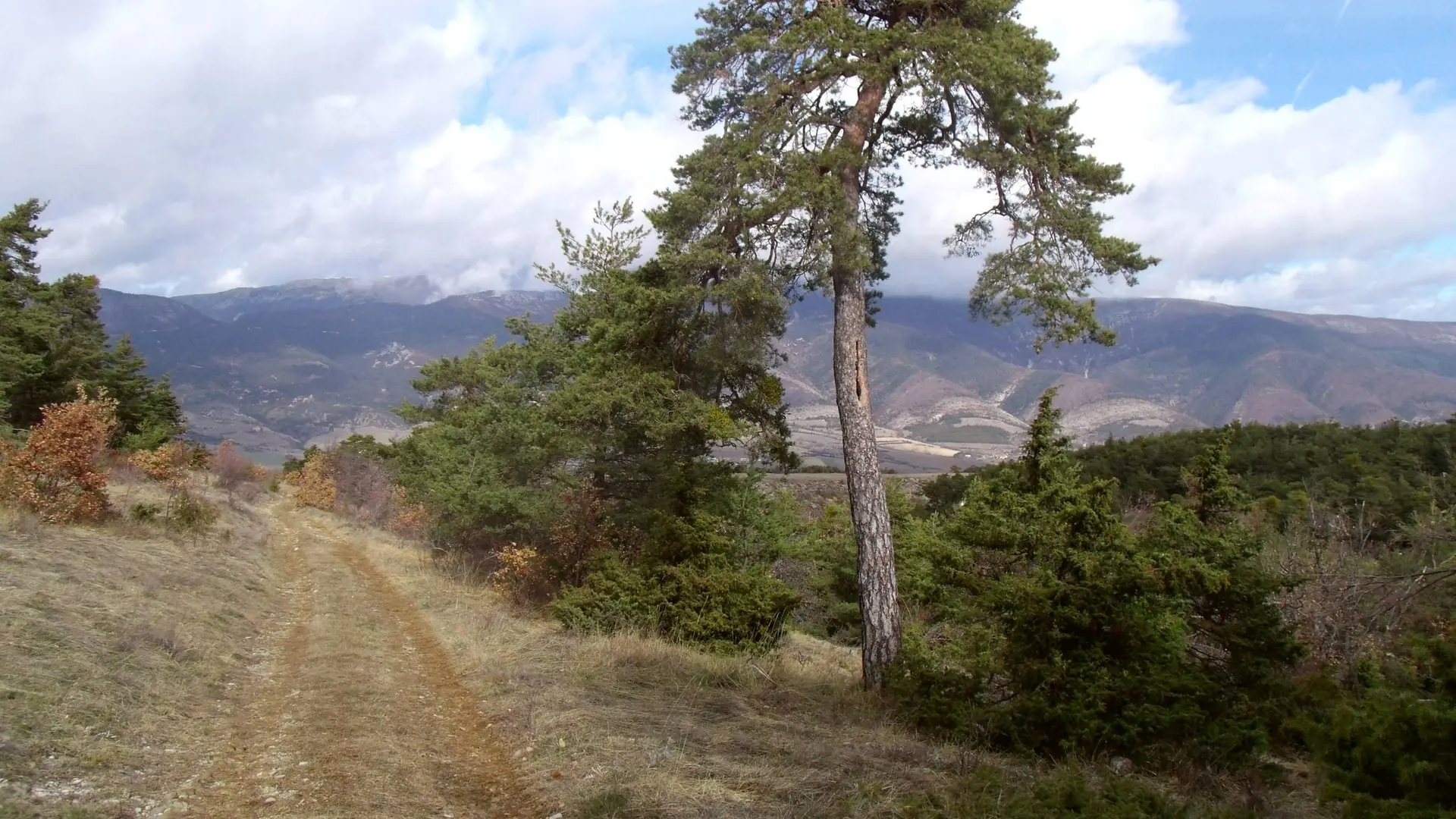 Belle piste avec vue dégagée