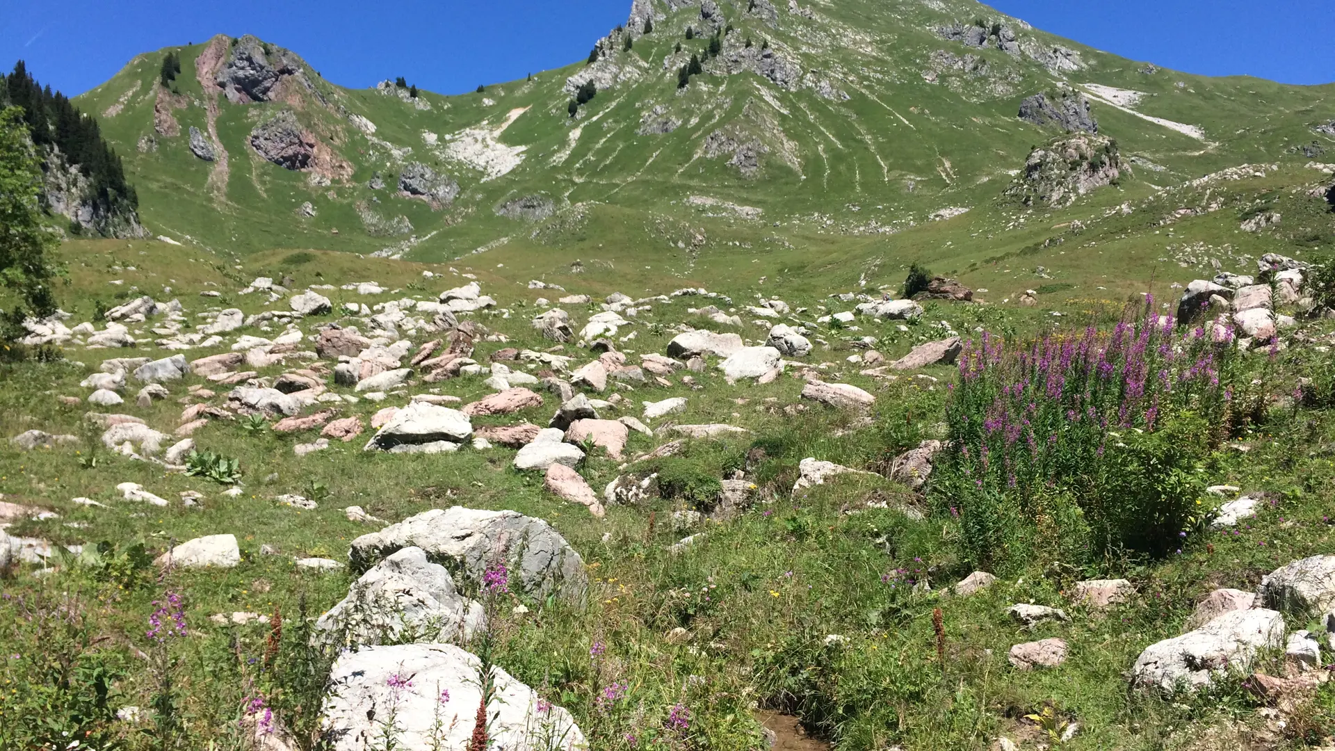 Pointe de Chalune