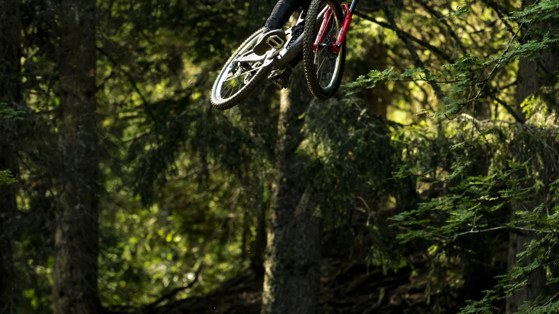 Saut de la piste Ric et Rac du Bike Park de Châtel