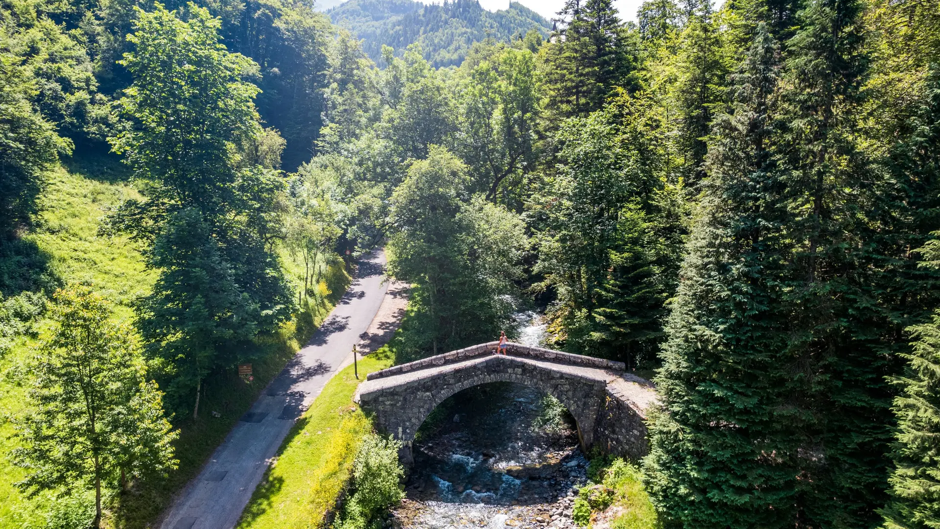 pont