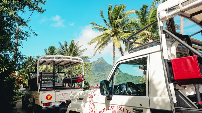 4WD Paradise Explorer