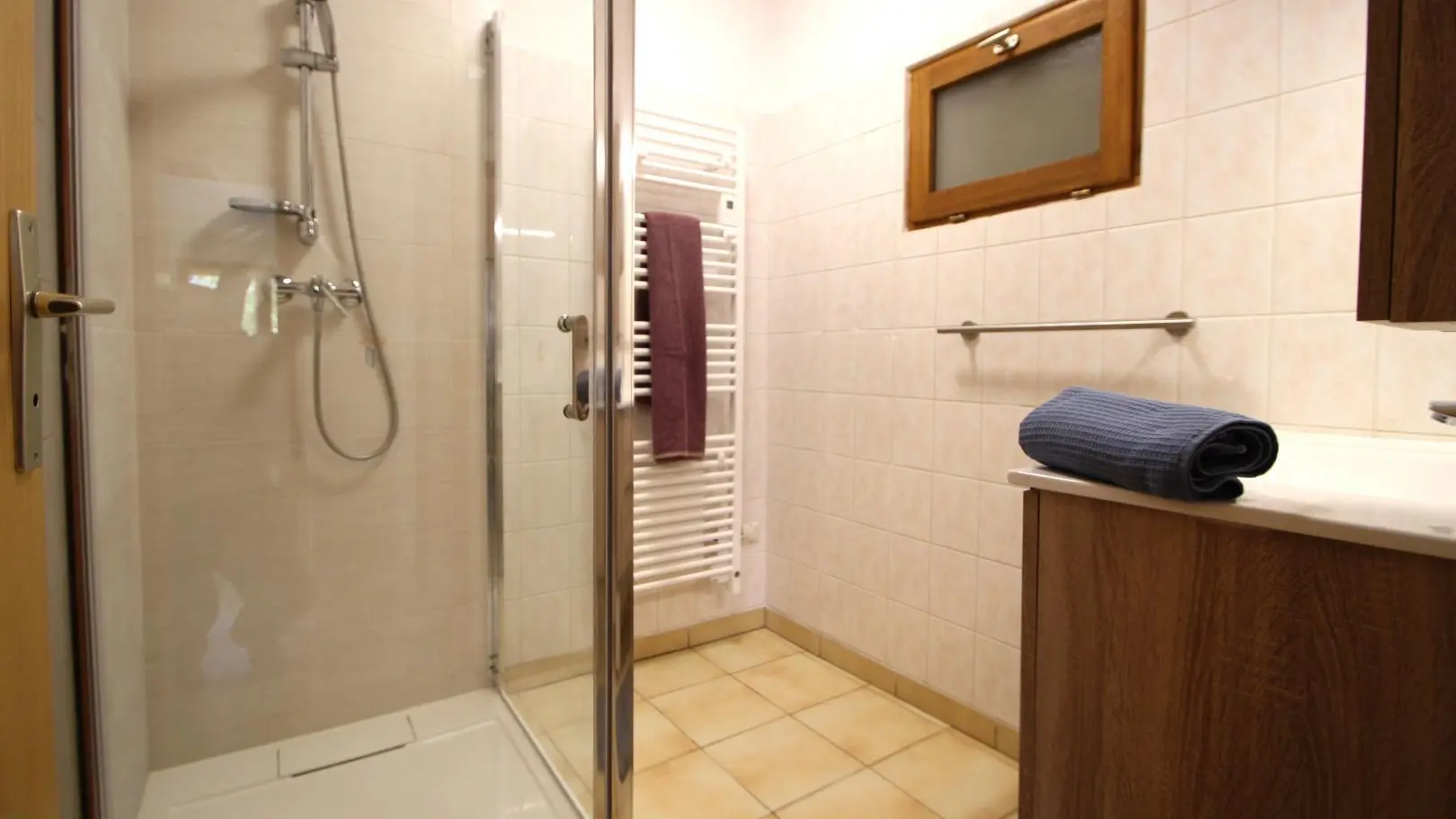 Salle d'eau avec grande cabine de douche