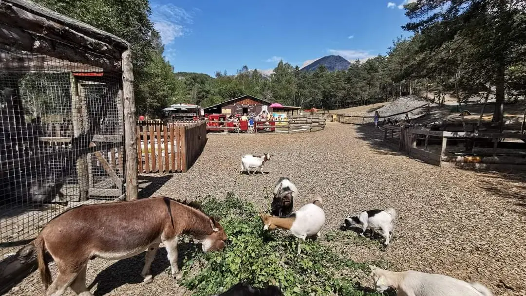 Animaux de la Colline des Lutins