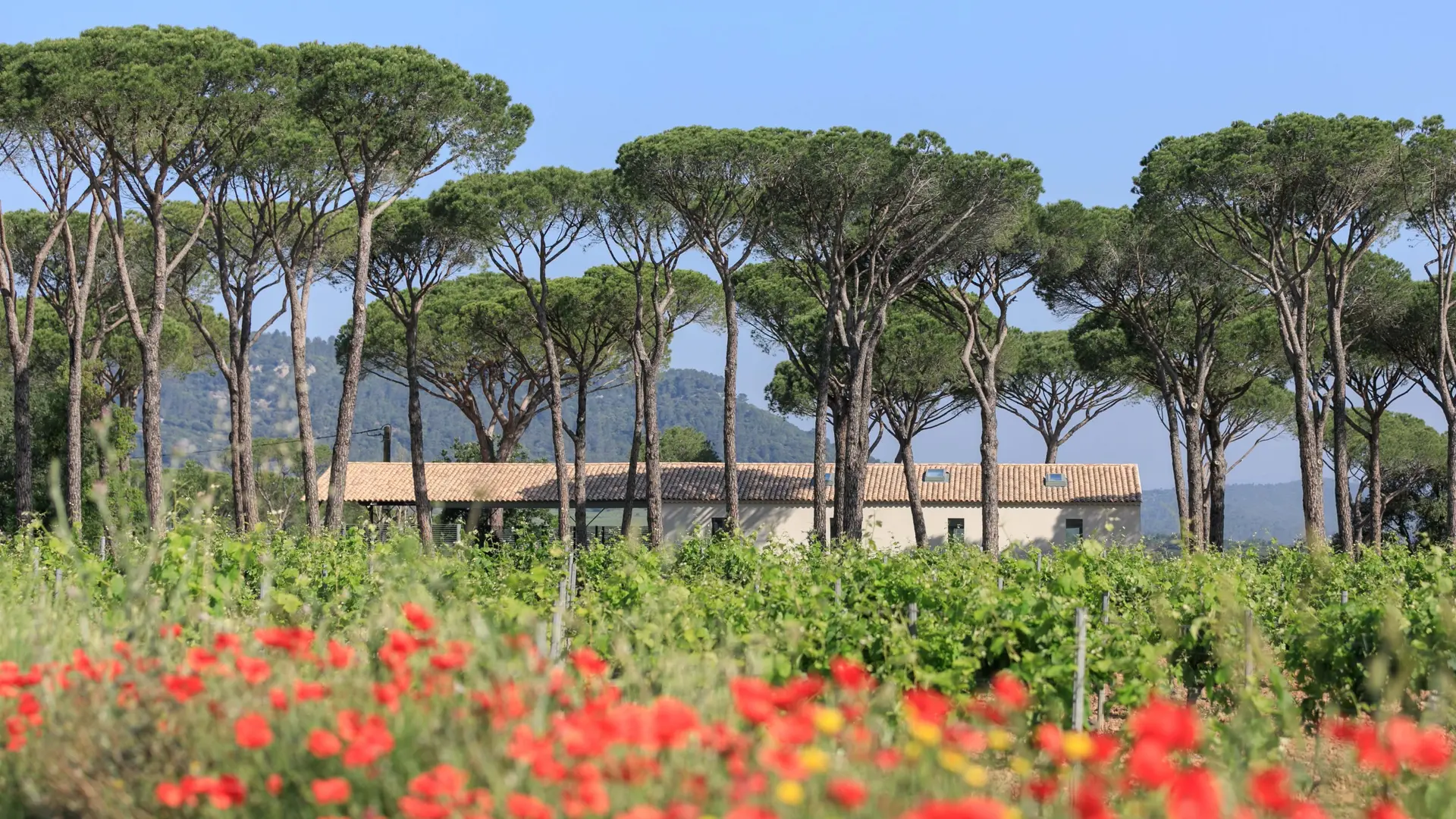 Domaine des Féraud