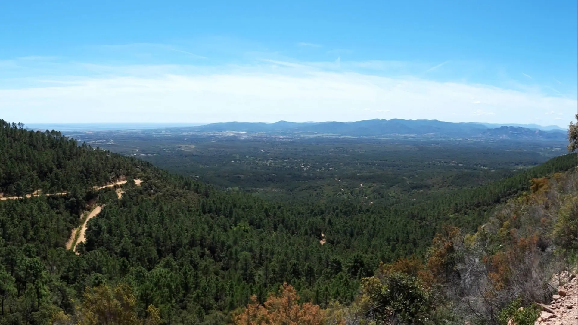 Panorama sur le massif forestier jusqu'au littoral
