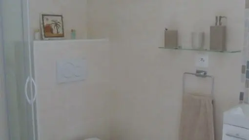 C'est une petite salle de bain aux murs et au sol carrelés de couleur crème, équipée d'un WC suspendu, d'une douche avec paroi en verre, d'un porte-serviettes mural et d'un petit meuble-lavabo sur la droite.