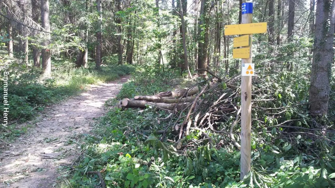 Autour de l'Herbasse