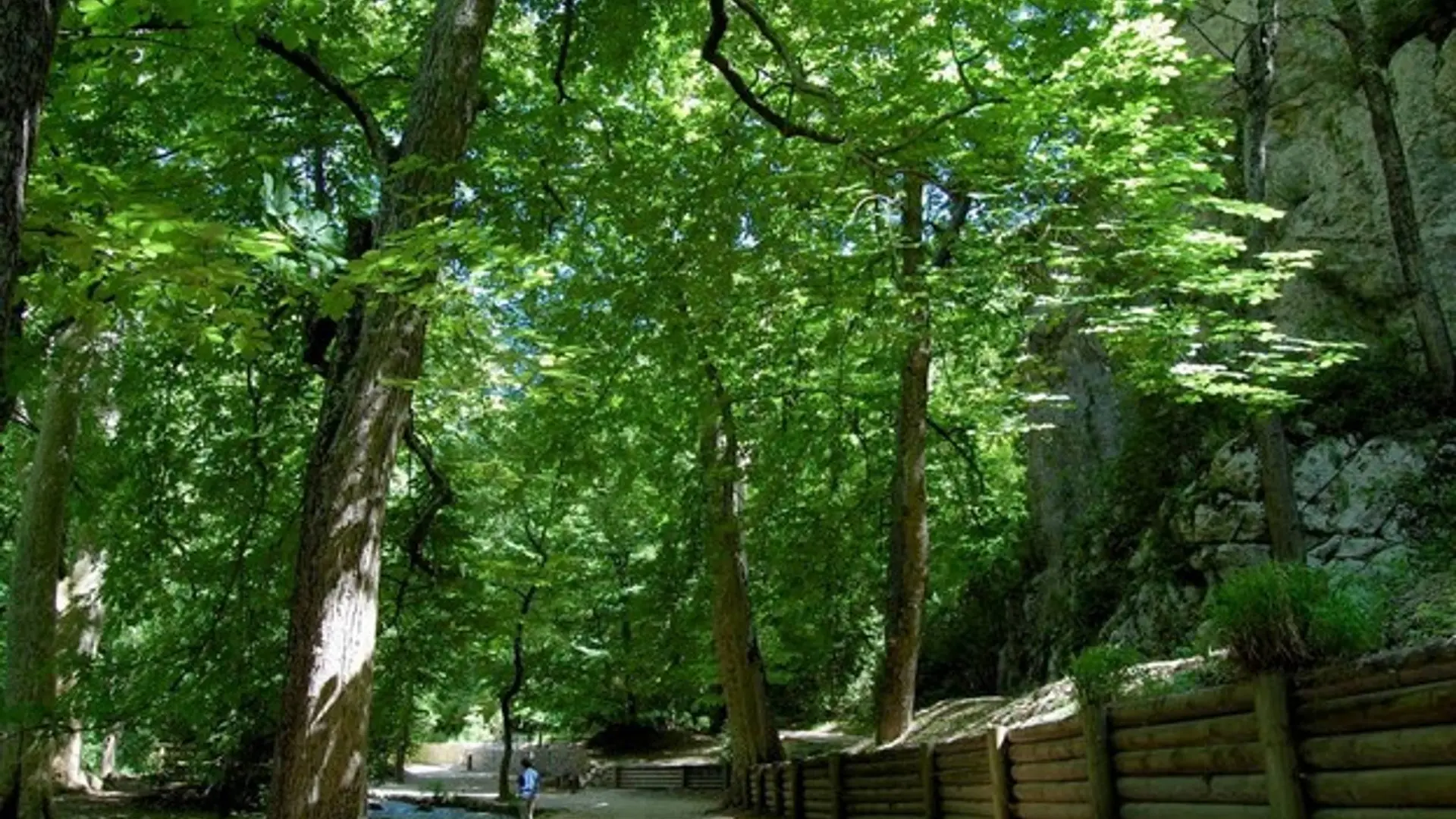 Le parc départemental de Saint-Pons