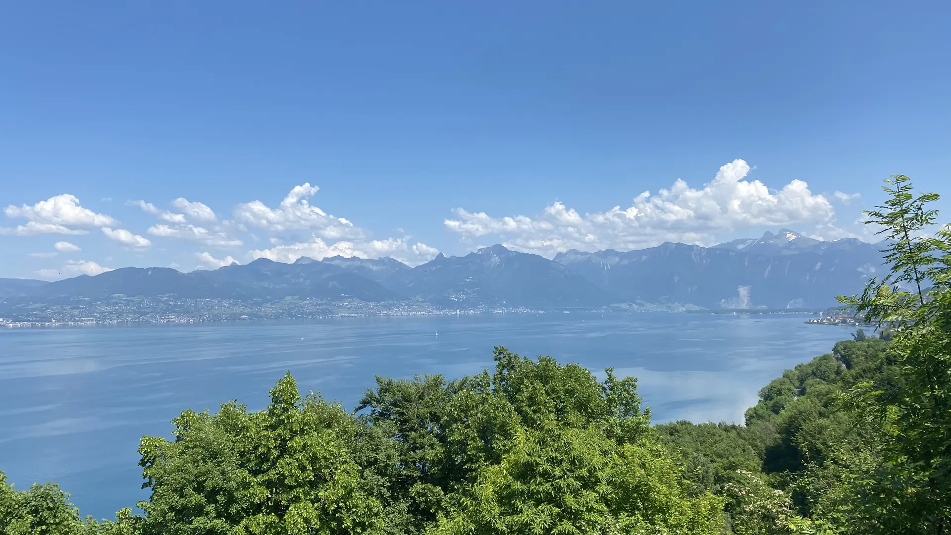 Vue sur le lac Léman et la Suisse
