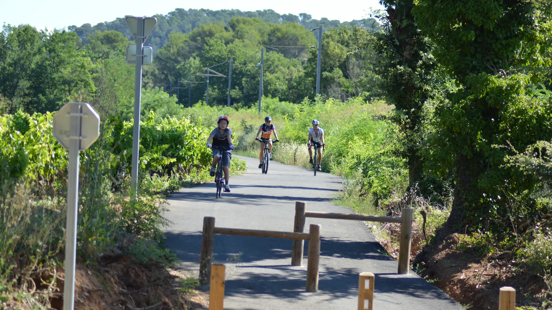 La Vigne à Vélo