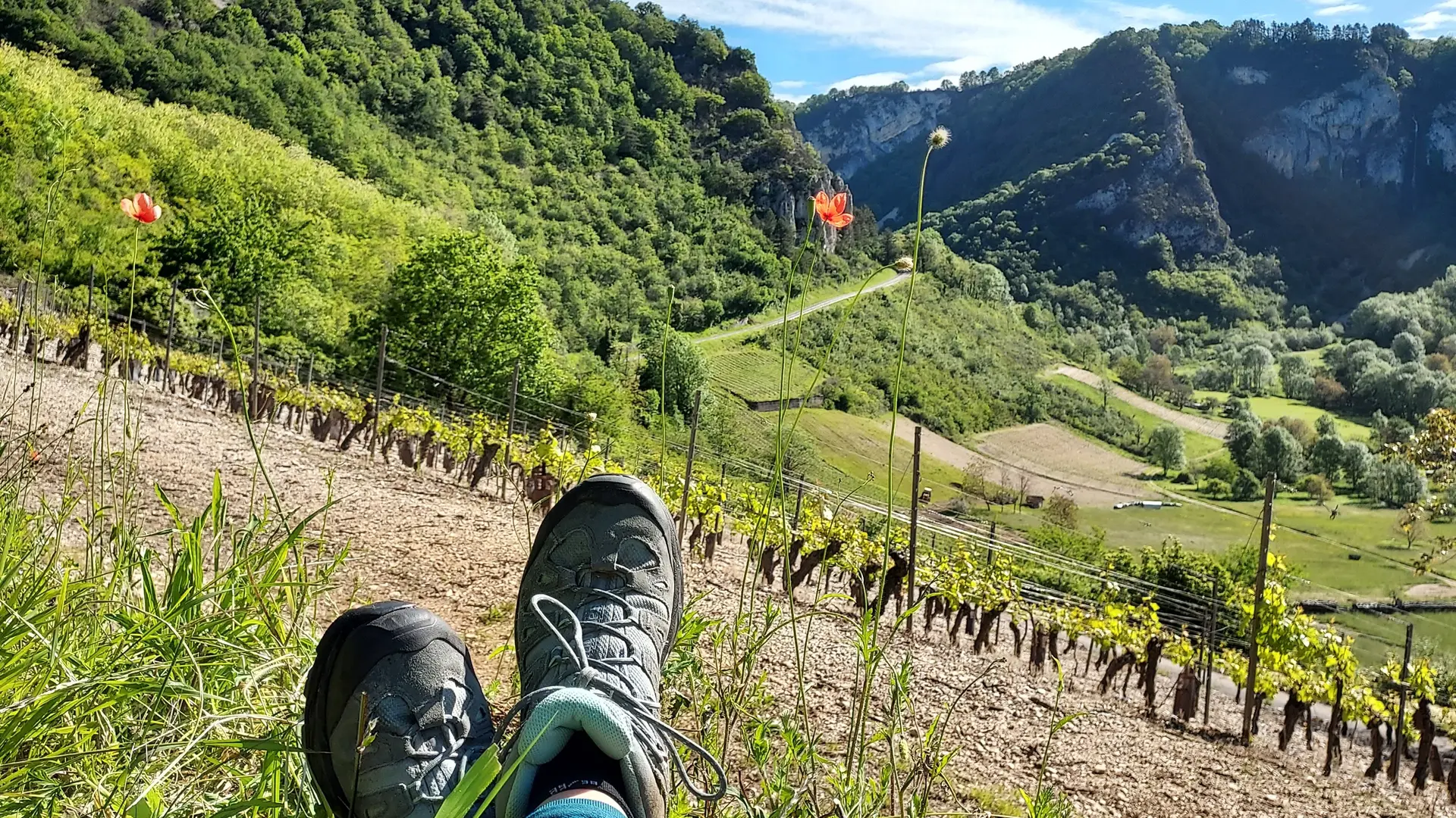 Pause dans le vignoble