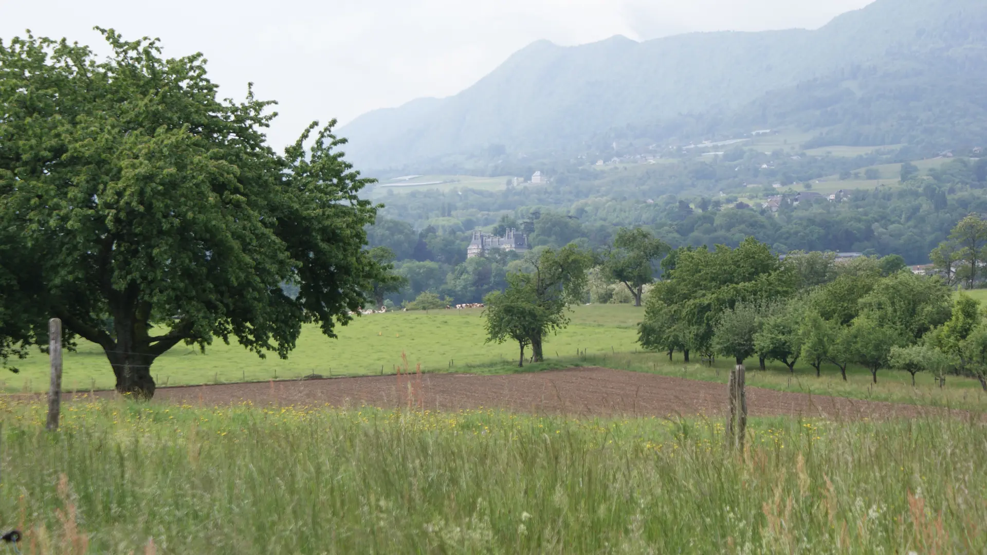 Boucle des marais