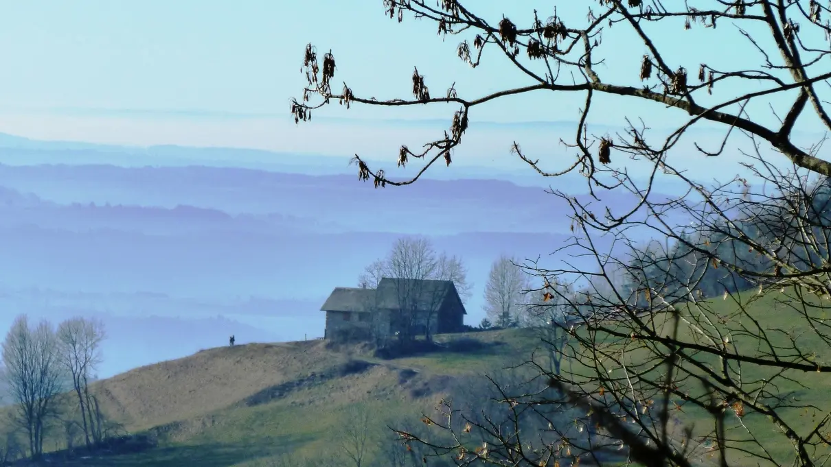 Vue depuis le gîte