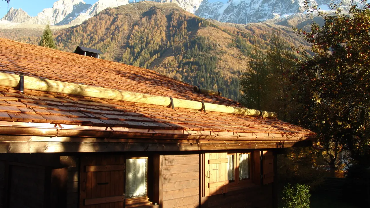 Chalet des Glaciers - Vue montagne
