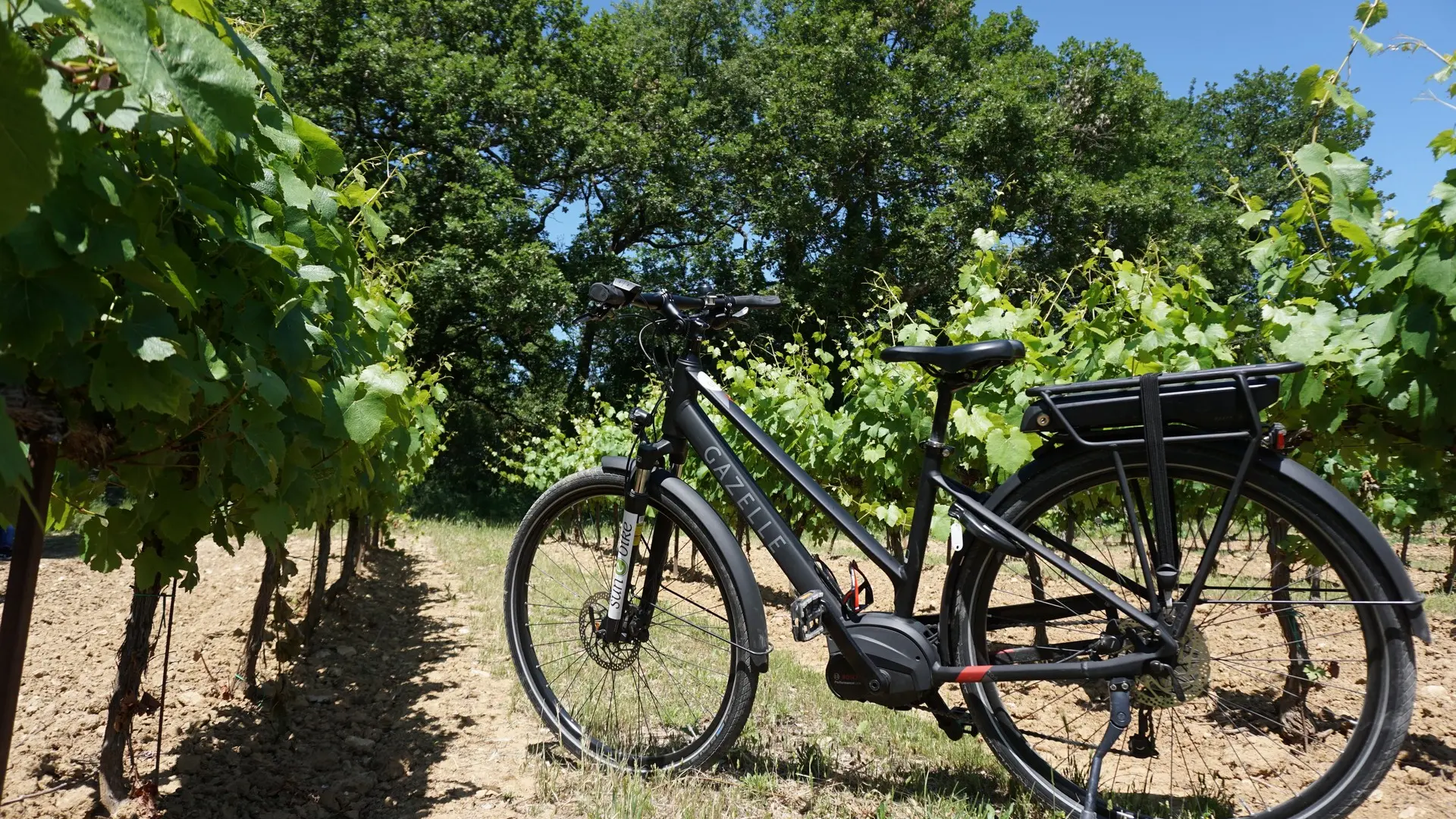 Loueur de vélo Sun e-bike à Saint-Rémy-de-Provence