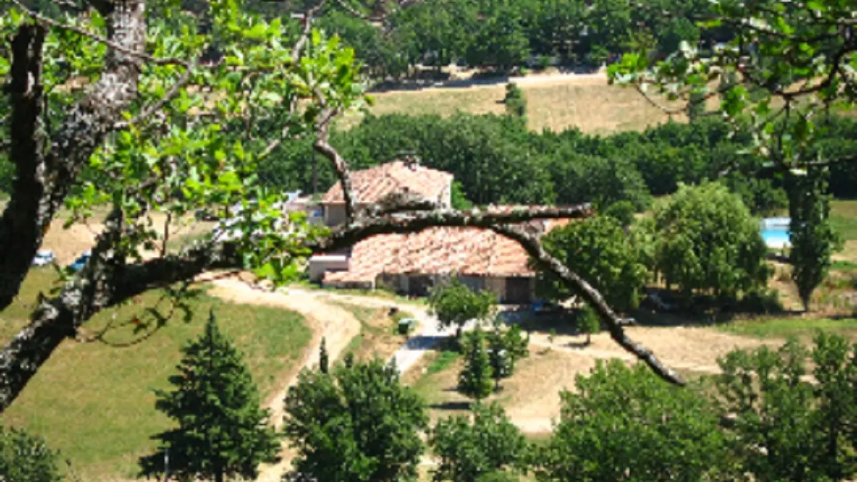 Vue générale