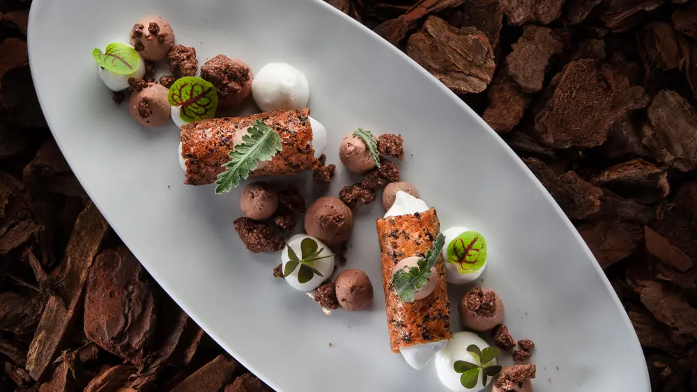 L’association chocolat et sapin  tuile croustillante, onctueux chocolat sapin et terre de cacao