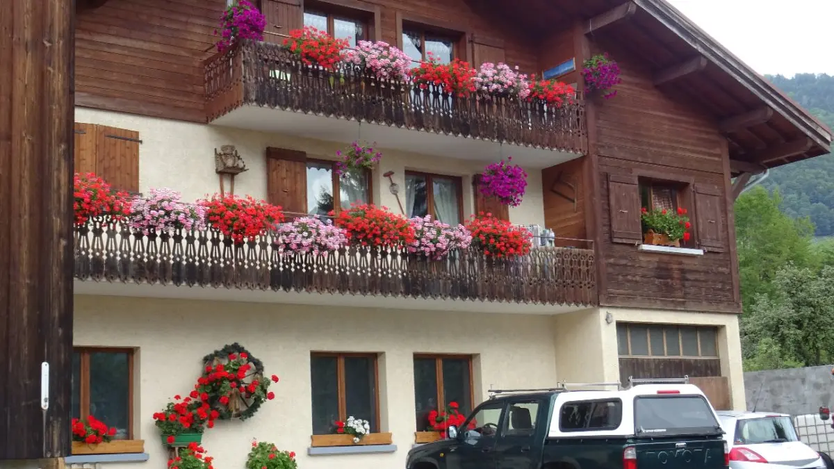 location été et Hiver