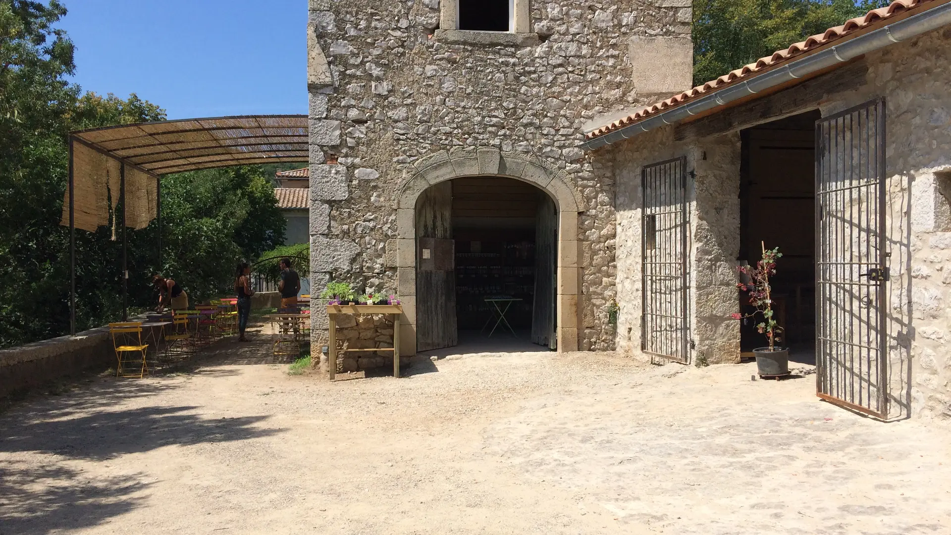 distellerie paiolive