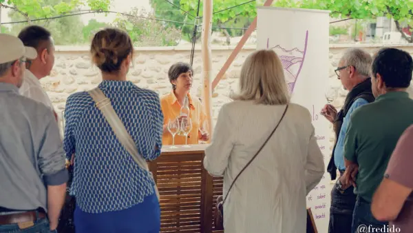 Visit winery and lavender farm