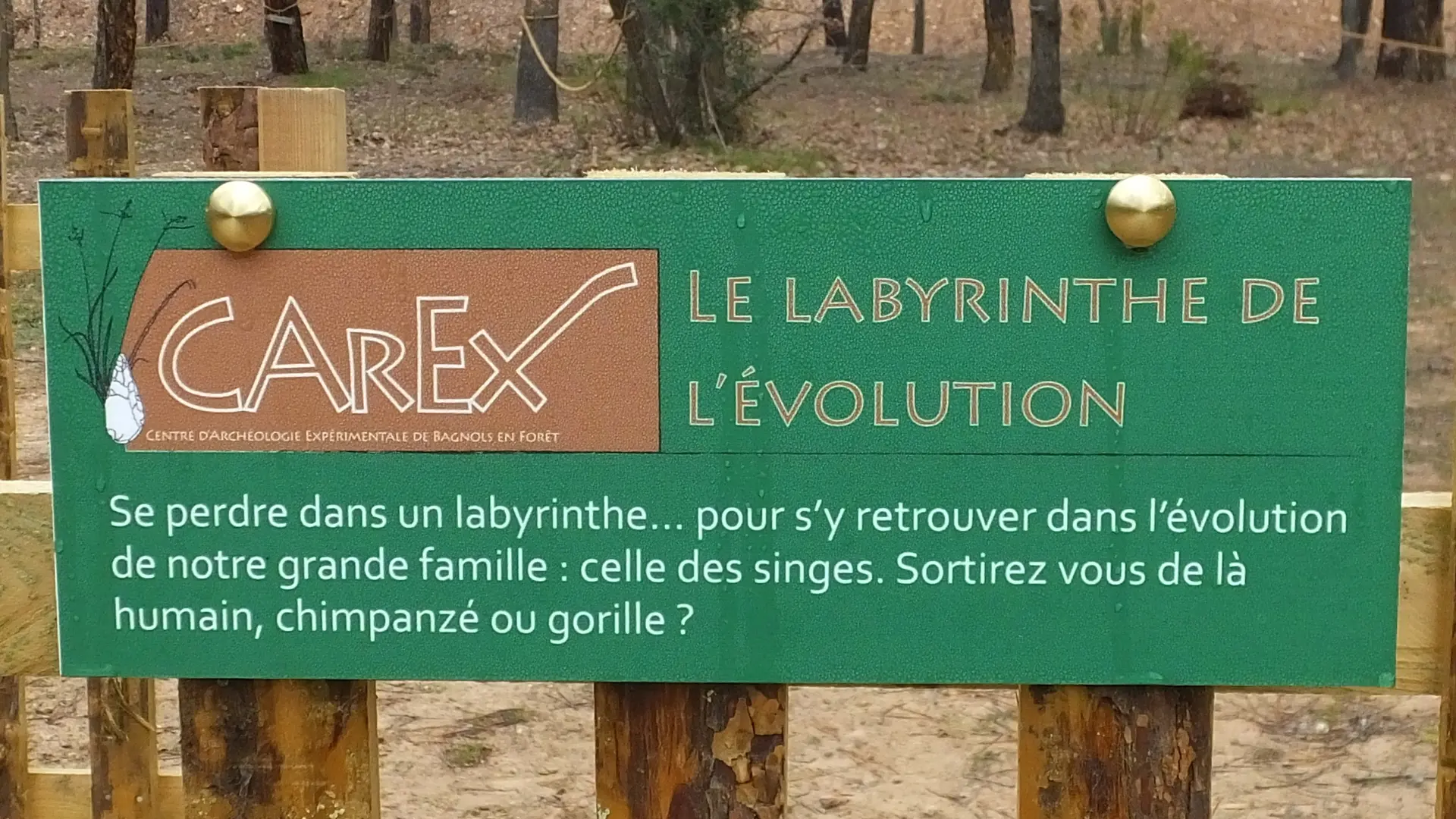 Panneau Labyrinthe de l'évolution