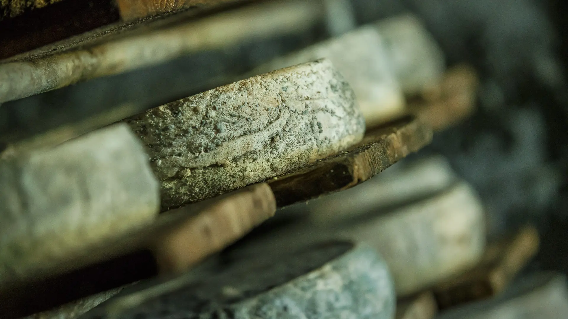 Visite de ferme d'alpage - Airon