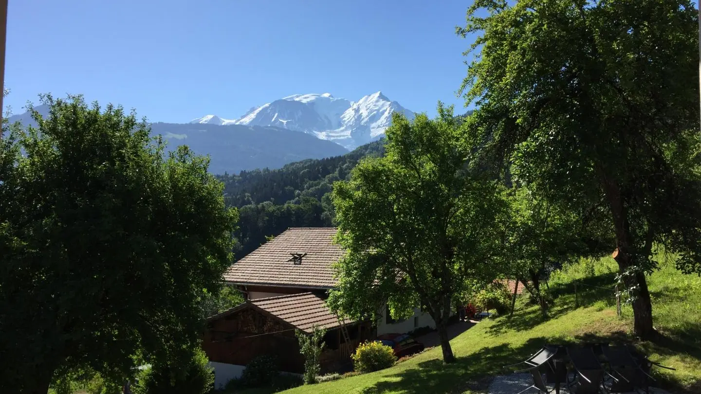 Vue sur le Mont --Blanc