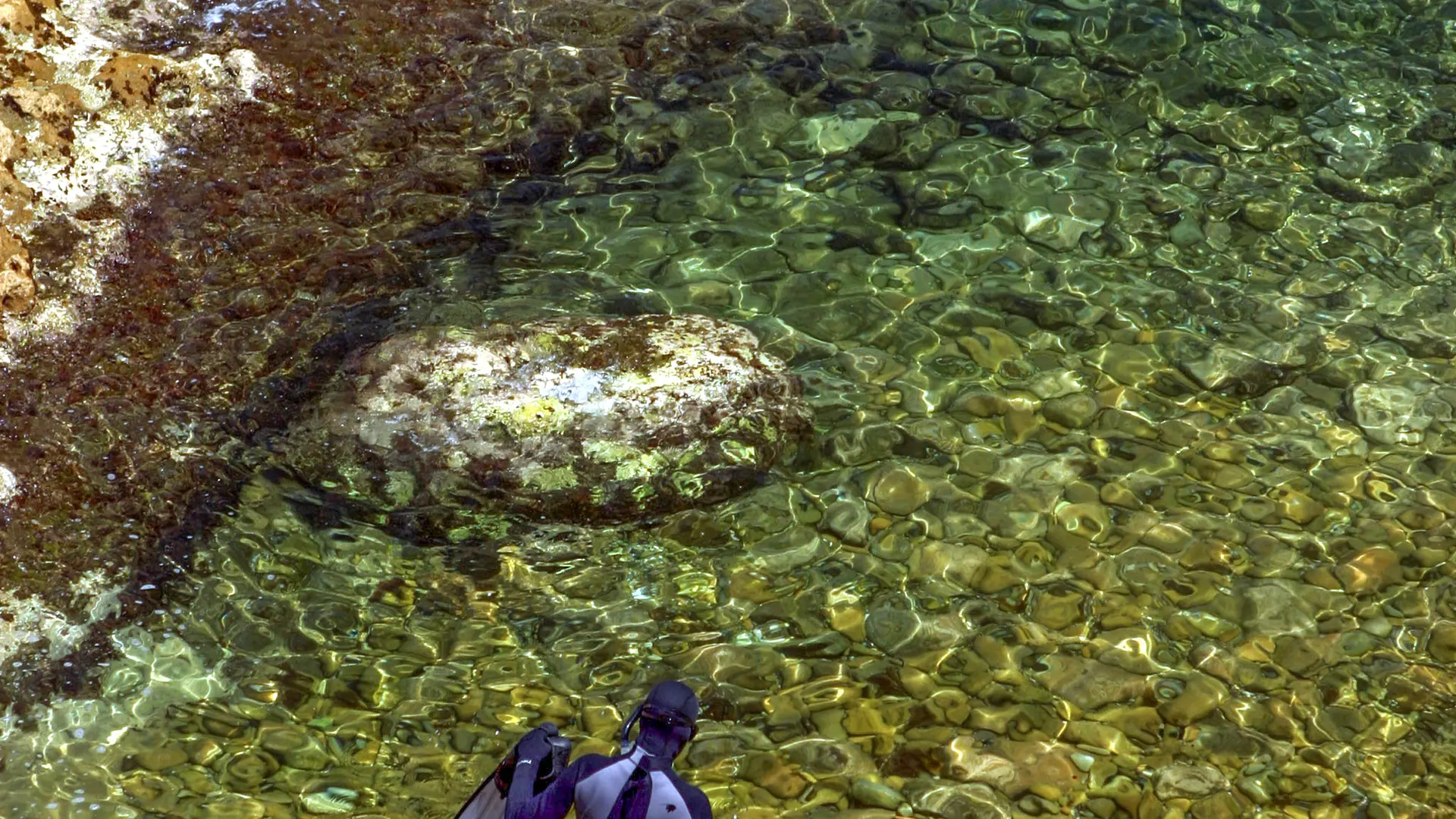 Plongée dans la Côte Bleue