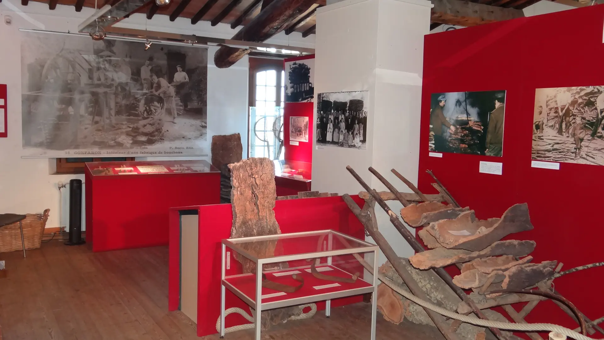 Le chêne-liège et son écorce