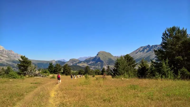 Sortie en chiens de traineaux dans Le Dévoluy, Hautes-Alpes, Alpes du Sud