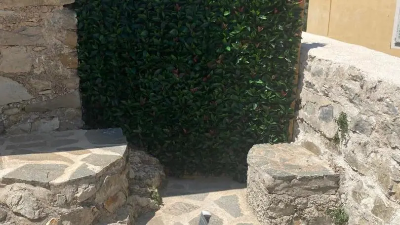 Terrasse avec mur végétalisé, Baous de Lucéram Gîtes de France Alpes-Maritimes