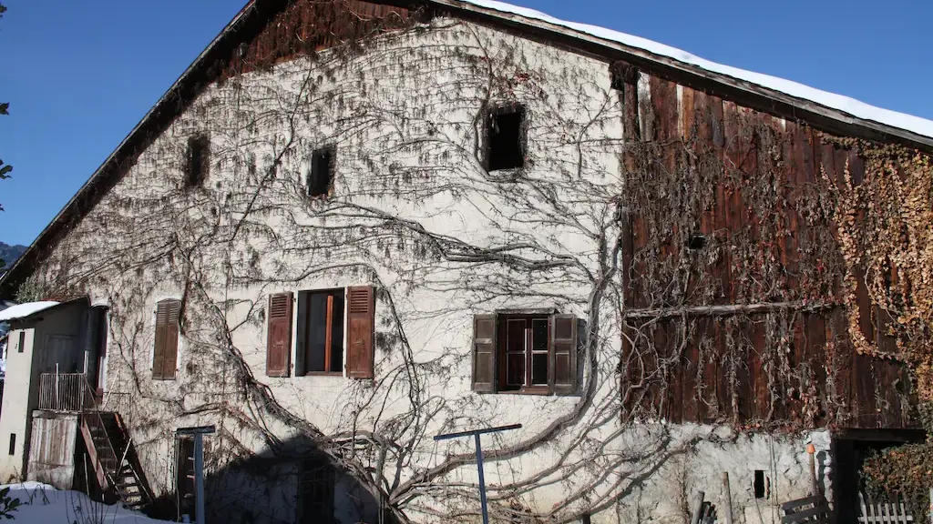 Chalet exterieur