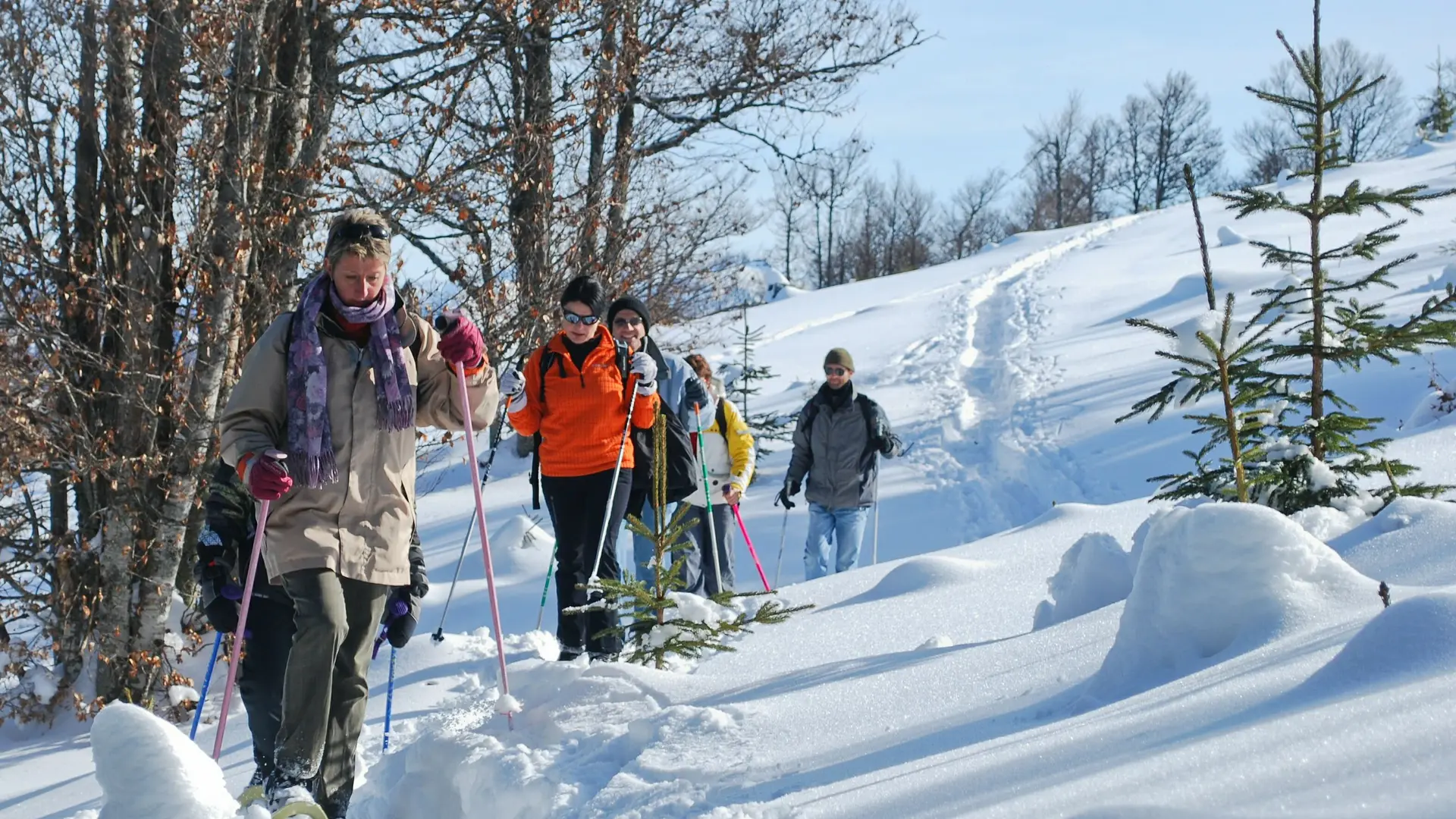 Sur les hauteurs de la Vallée Verte