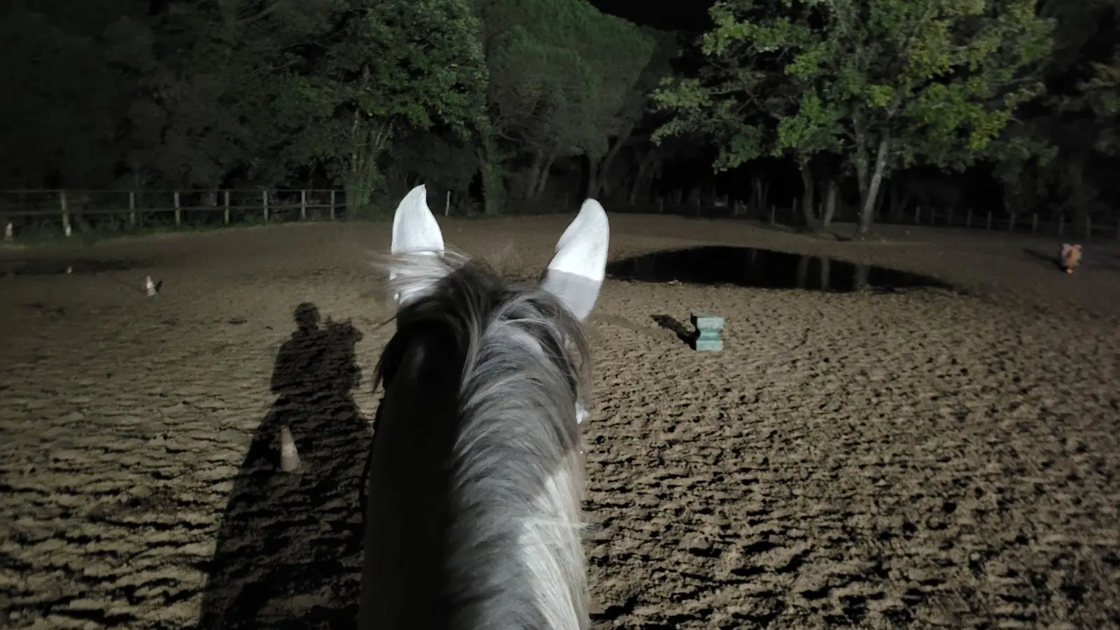 Balade nocturne