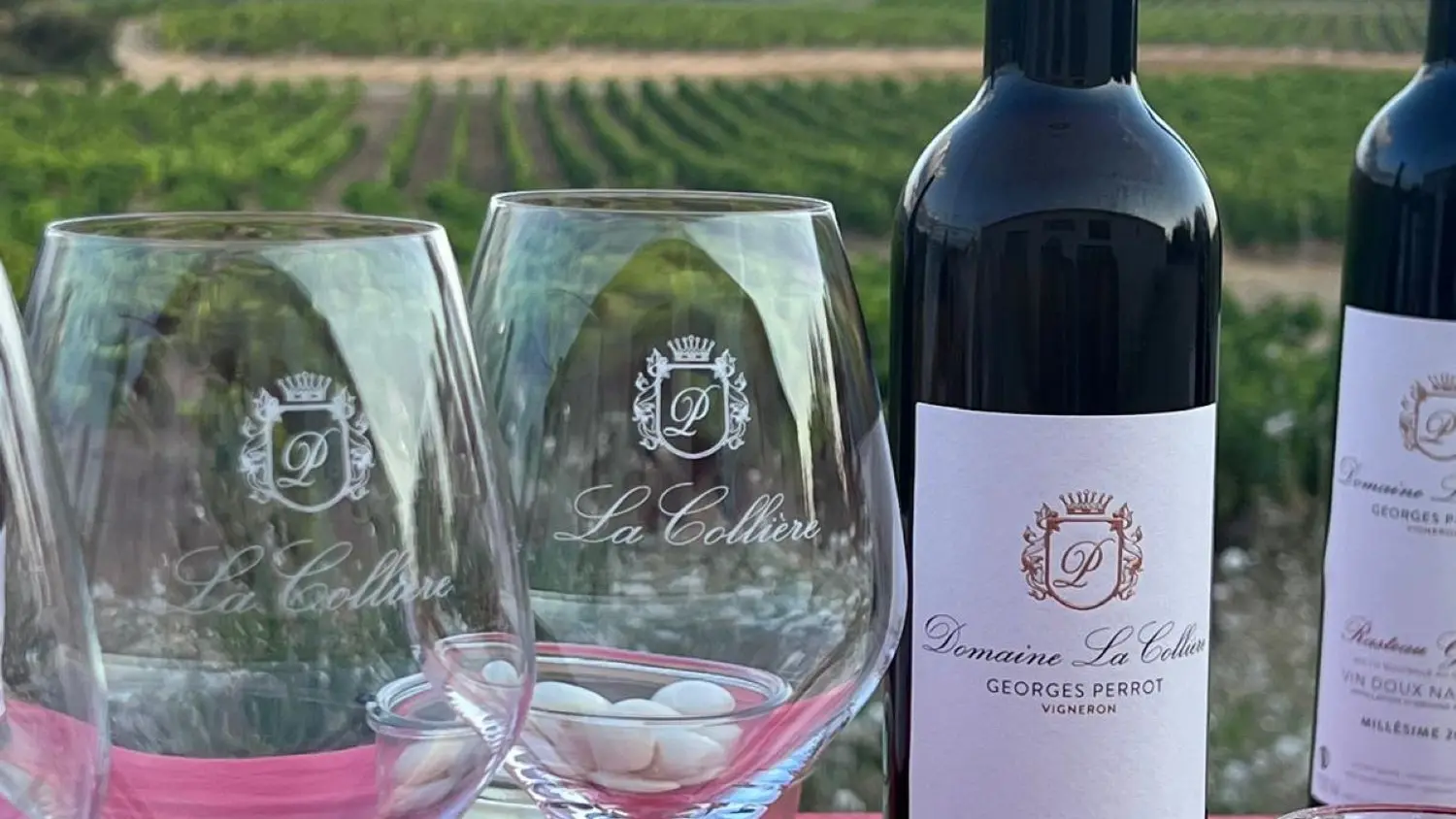 Cuvées du domaine face aux Dentelles de Montmirail