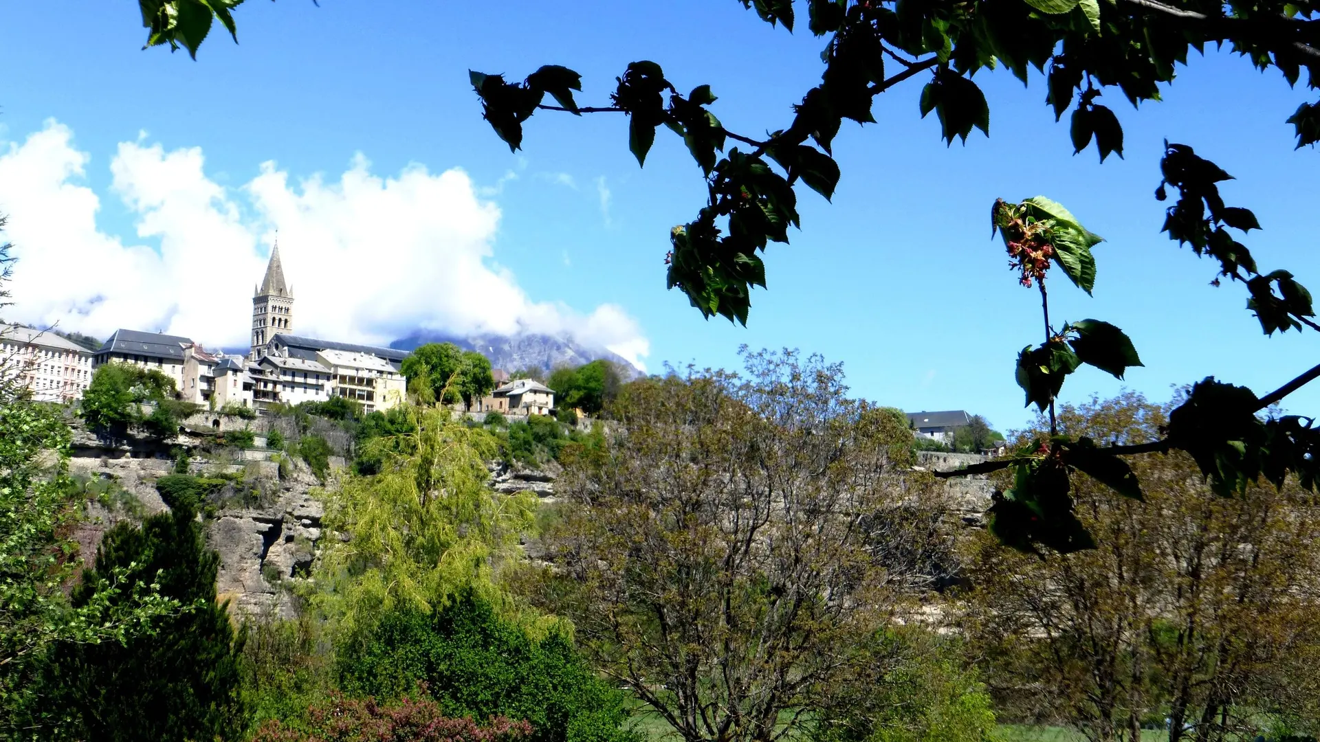 Gros plan sur le Roc