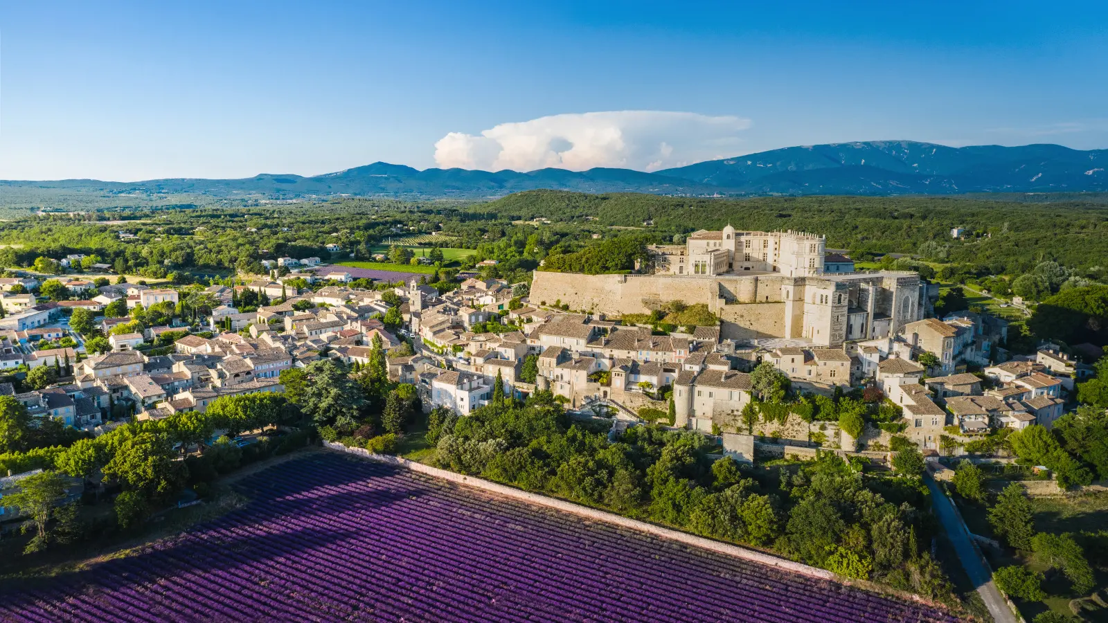 Vue aérienne château et lavandes