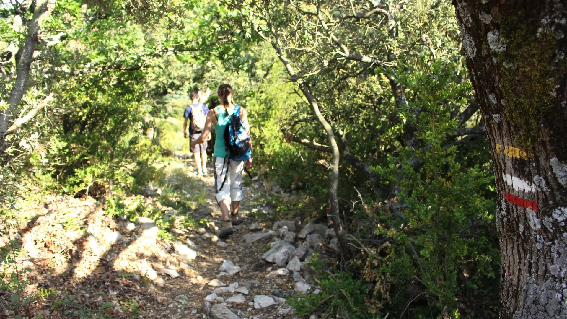 Ascension du Petit Luberon par le GR®