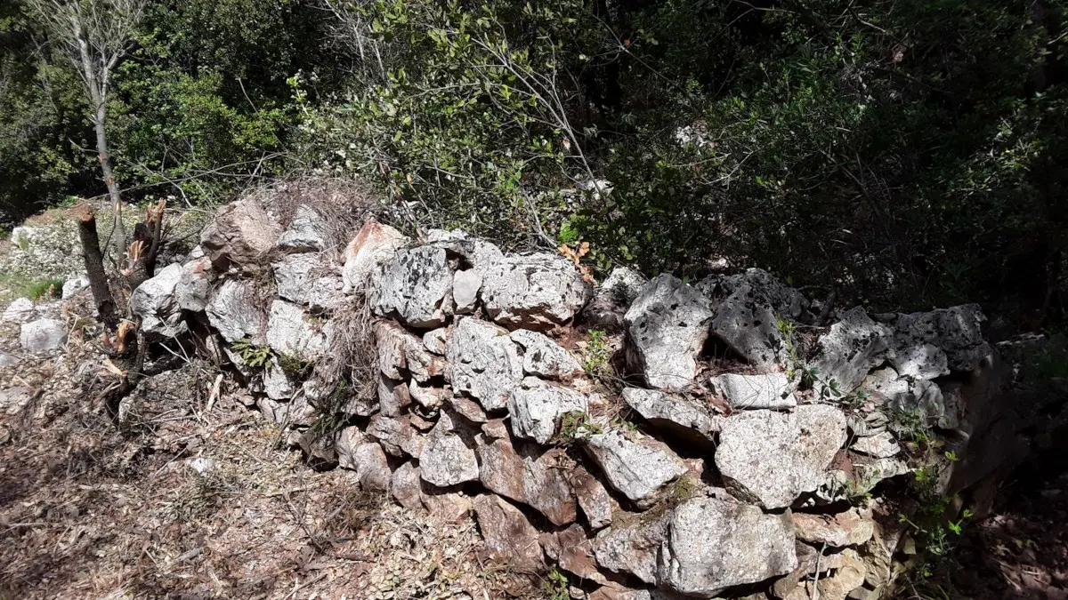 Vestiges de cabane de charbonnier