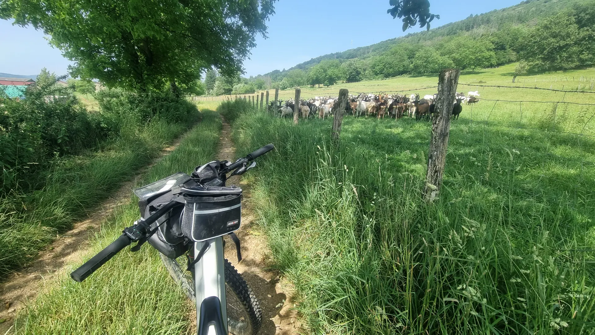 Circuit VTT n°7 (rouge) - Drom - Villeversure