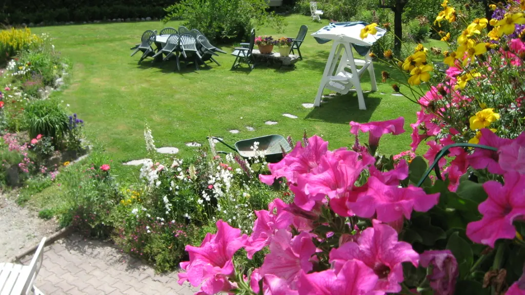 jardin été