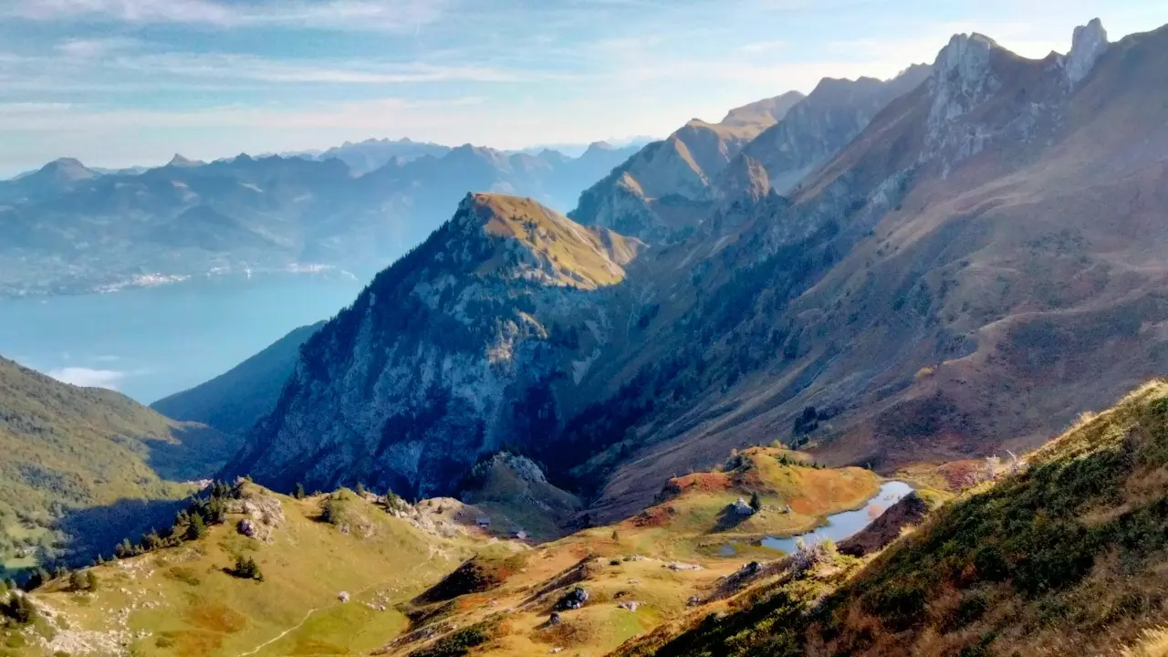Photo échappée sauvage