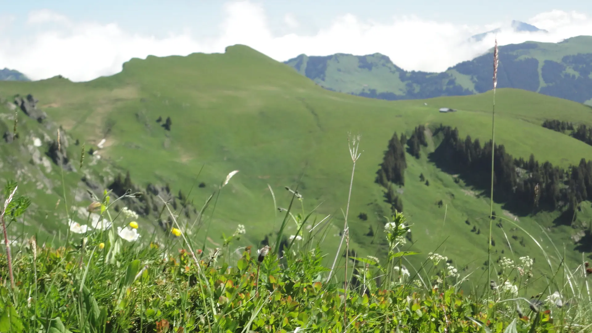 Vue sur la Pointe des Mattes