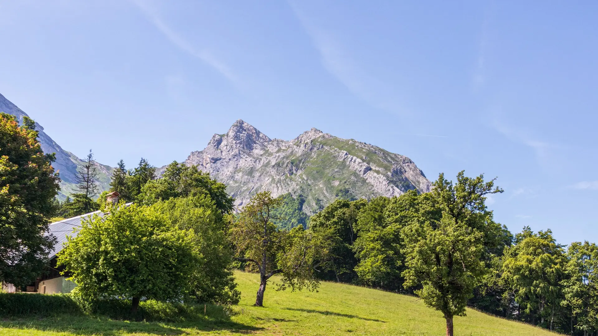 panorama