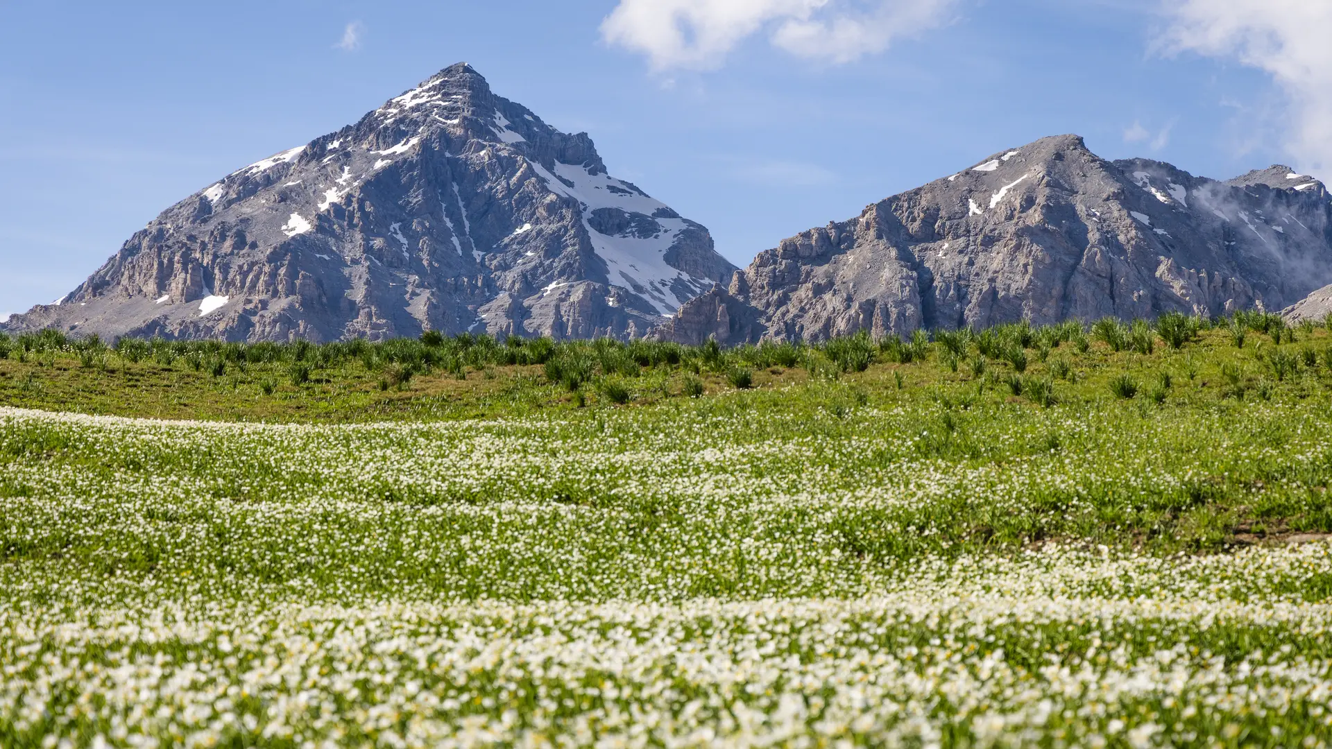 Col des Thûres et lac Chavillon