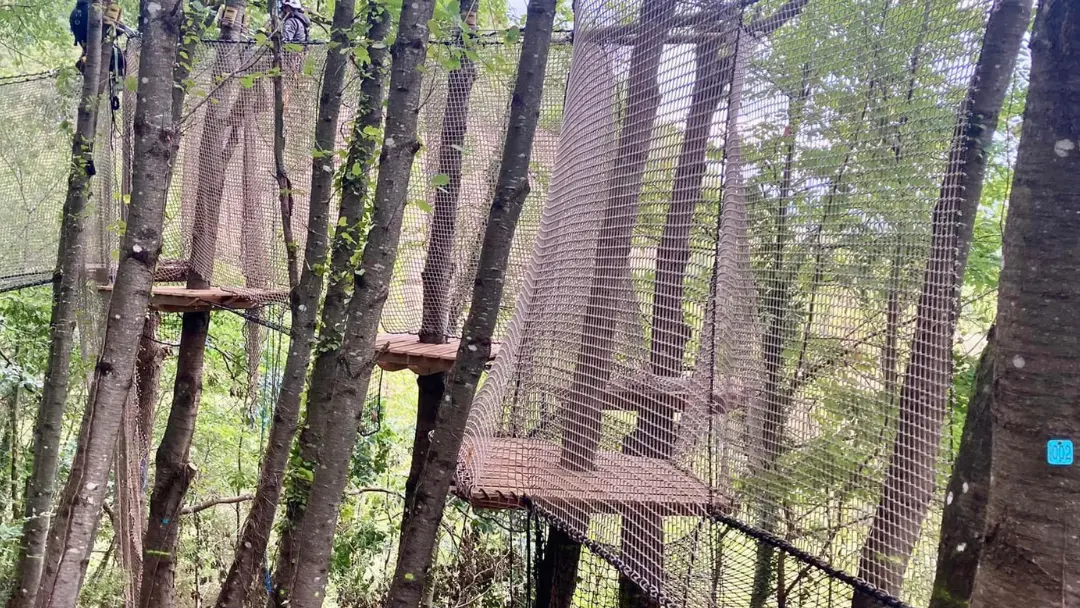 La Forêt des Champos