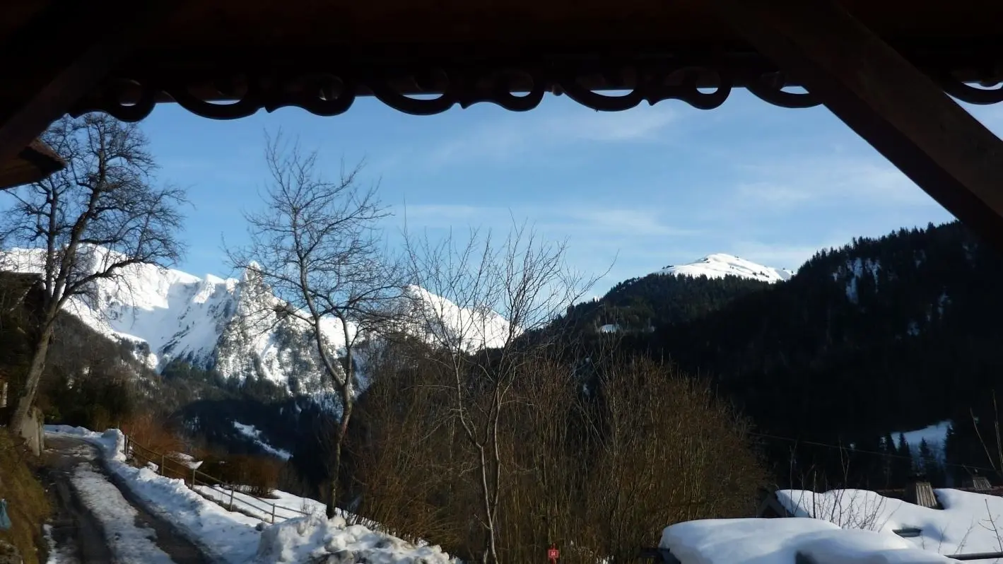 Vue de la terrasse.