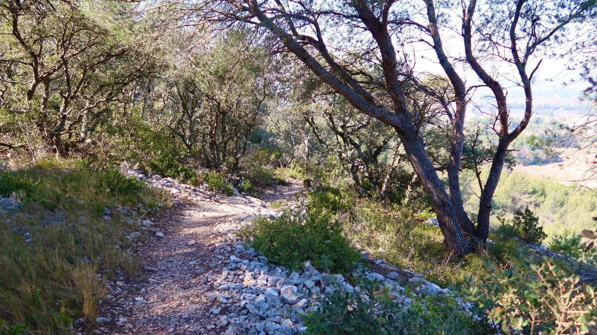 Sur le sentier de découverte
